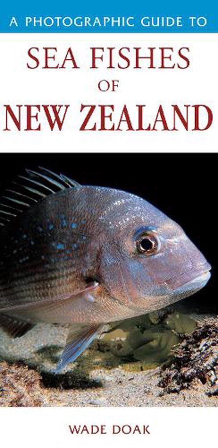 A PHOTOGRAPHIC GUIDE TO Sea Fishes of New Zealand