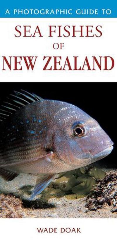 A PHOTOGRAPHIC GUIDE TO Sea Fishes of New Zealand