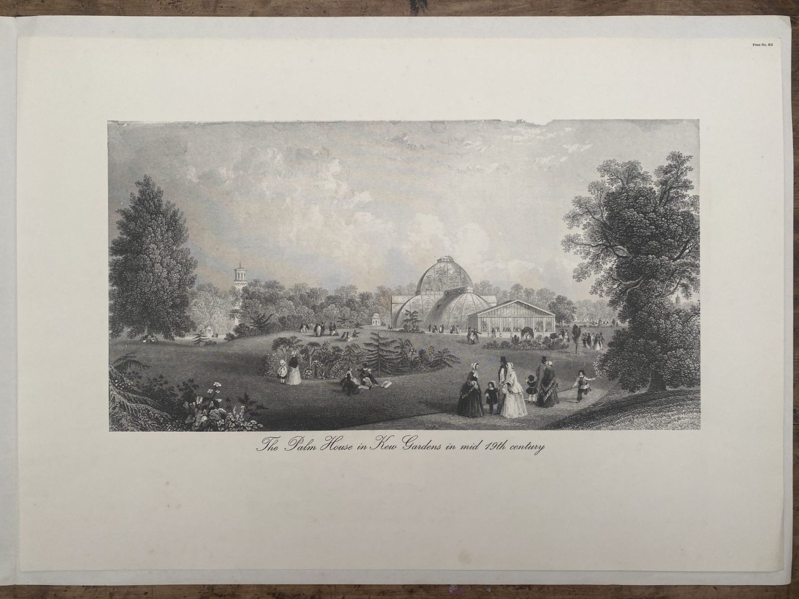 OLD PRINT: The Palm House, Kew Gardens, England - mid 19th century