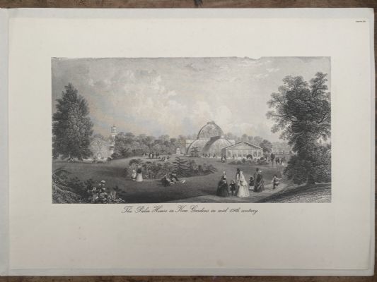 OLD PRINT: The Palm House, Kew Gardens, England - mid 19th century 