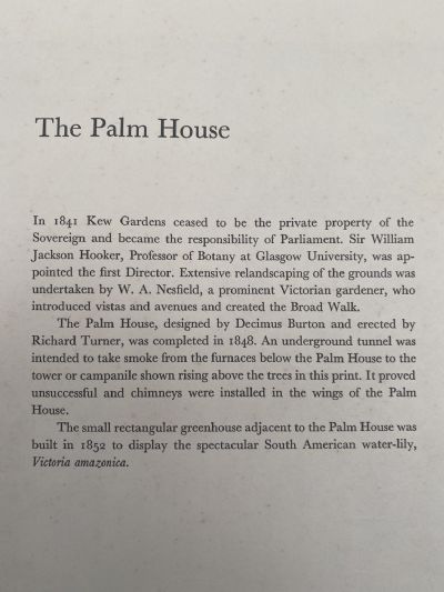 OLD PRINT: The Palm House, Kew Gardens, England - mid 19th century
