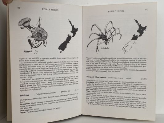 A FIELD GUIDE TO THE NATIVE EDIBLE PLANTS of New Zealand