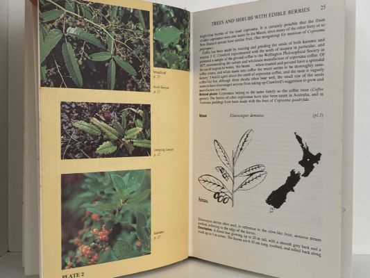 A FIELD GUIDE TO THE NATIVE EDIBLE PLANTS of New Zealand