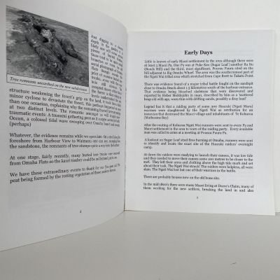 GUM AND GUMPTION: The Story of Point Wells