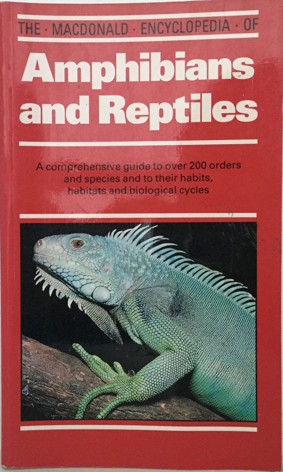 AMPHIBIANS AND REPTILES: The Macdonald Encyclopedia