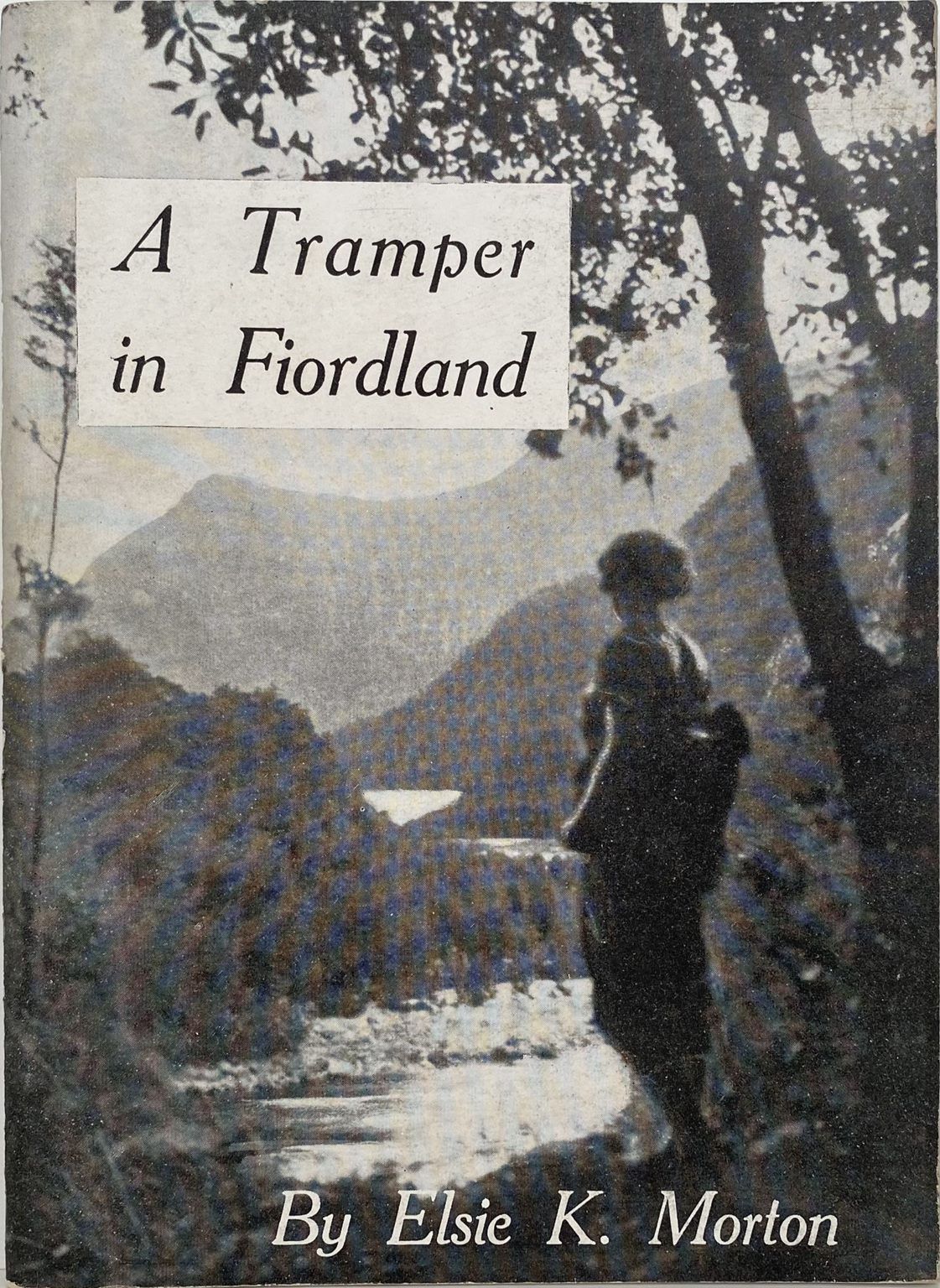 A Tramper in Fiordland