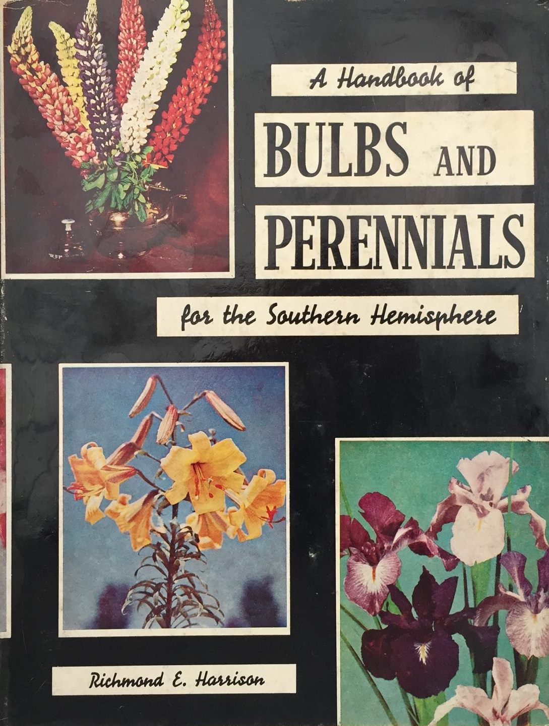 A Handbook of Bulbs and Perennials for the Southern Hemisphere