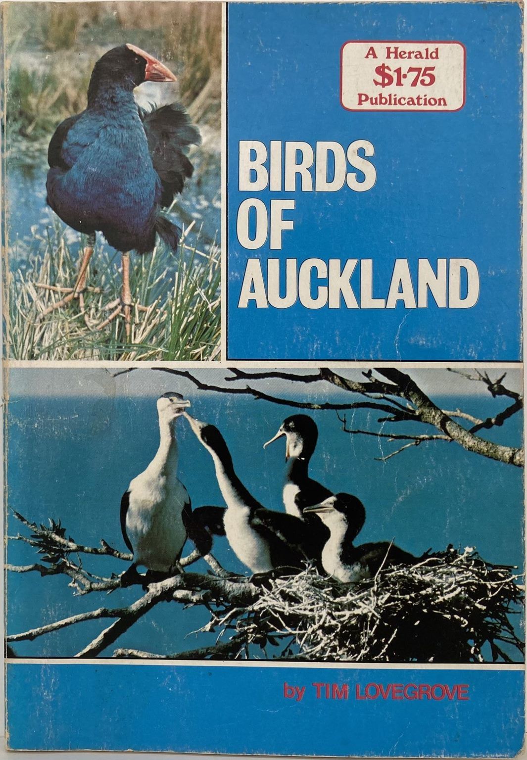 BIRDS OF AUCKLAND