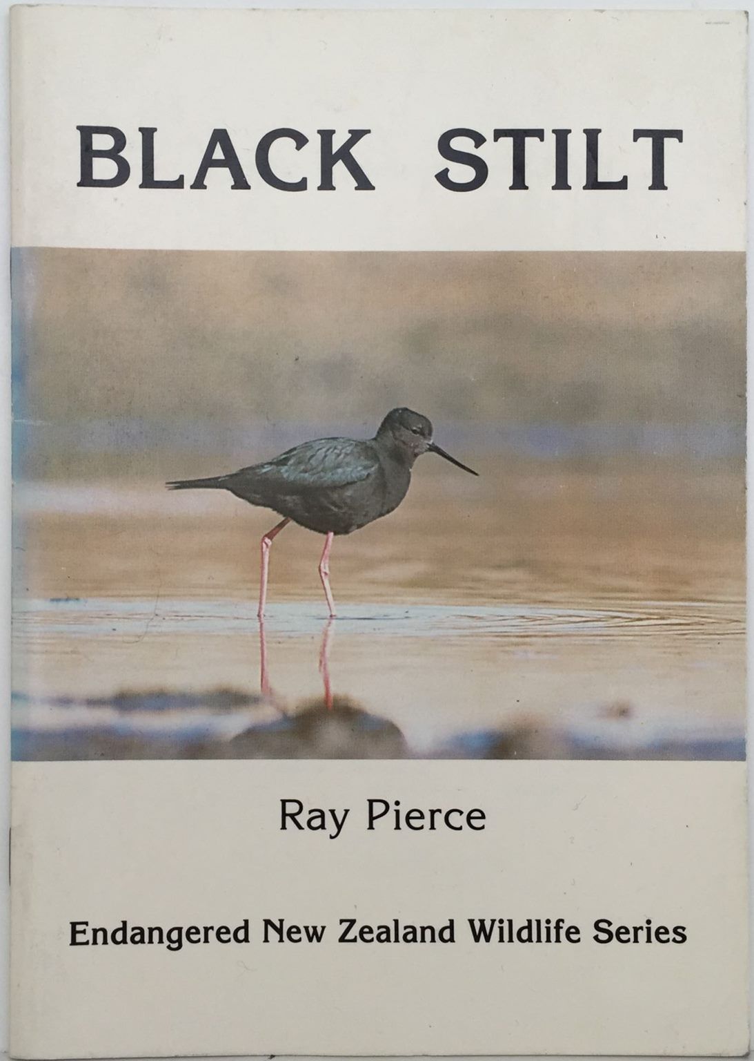 BLACK STILT