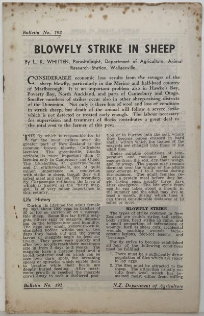 BLOWFLY STRIKE IN SHEEP: Bulletin No. 192 