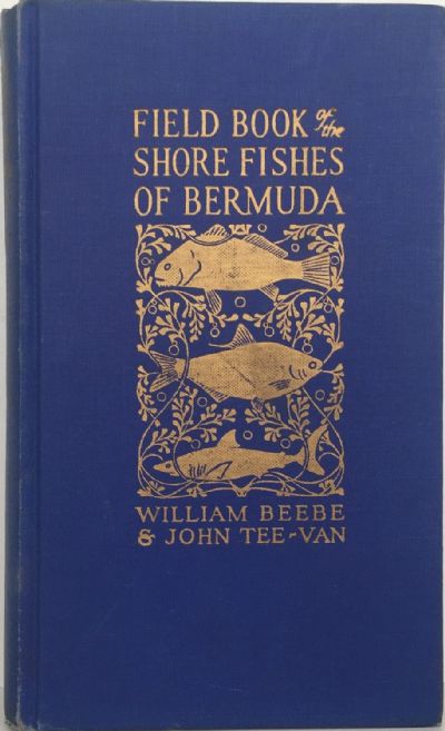 FIELD BOOK OF THE SHORE FISHES OF BERMUDA