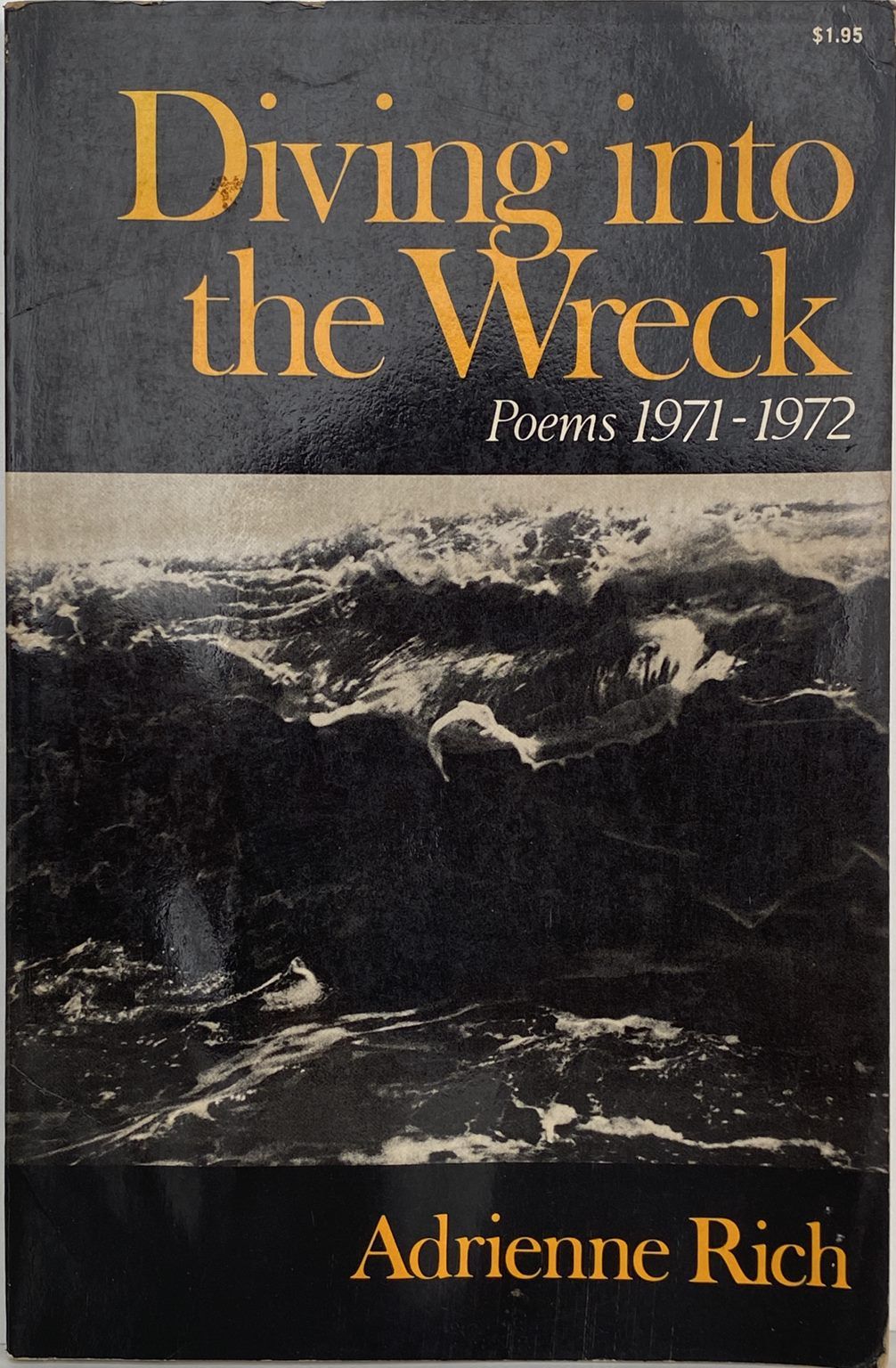 DIVING INTO THE WRECK: Poems 1971-1972
