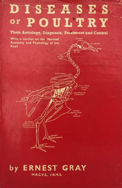 DISEASES OF POULTRY 