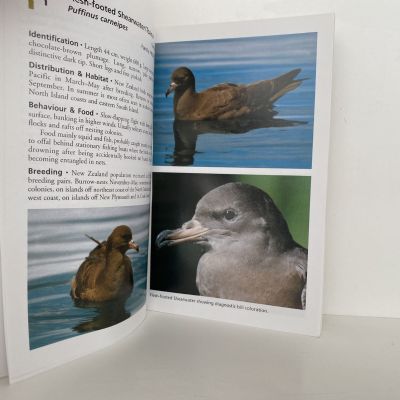 SEA AND SHORE BIRDS of New Zealand