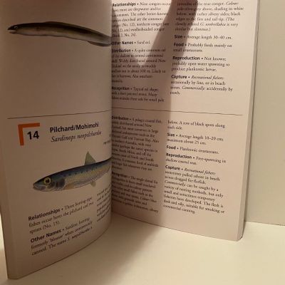 MARINE FISHES of New Zealand 1.