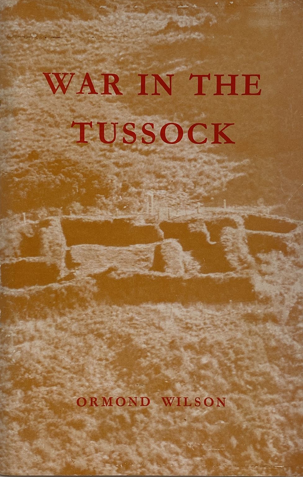 WAR IN THE TUSSOCK: Te Kooti and the Battle of Te Porere
