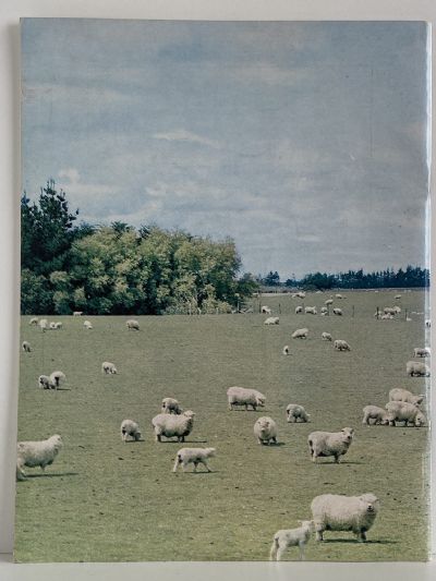 LOOK SOUTH: A Survey of Southland, New Zealand
