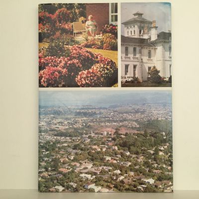 ROSKILL: An Illustrated History of New Zealand's Largest Borough