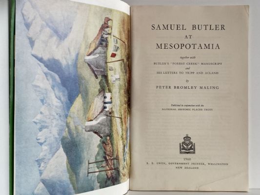 SAMUEL BUTLER AT MESOPOTAMIA