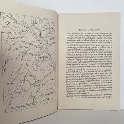 SAMUEL BUTLER AT MESOPOTAMIA