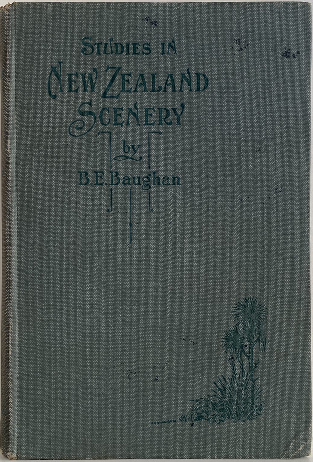 STUDIES IN NEW ZEALAND SCENERY