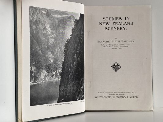 STUDIES IN NEW ZEALAND SCENERY