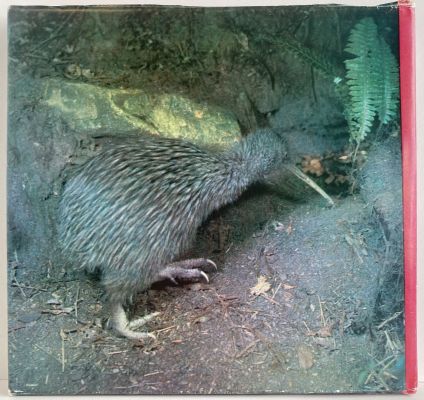 BIRDS OF NEW ZEALAND