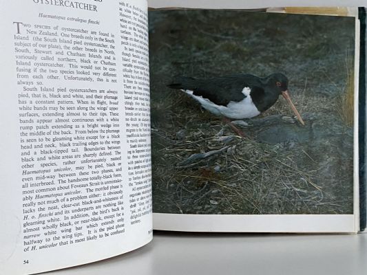 BIRDS OF NEW ZEALAND