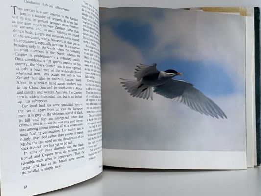 BIRDS OF NEW ZEALAND
