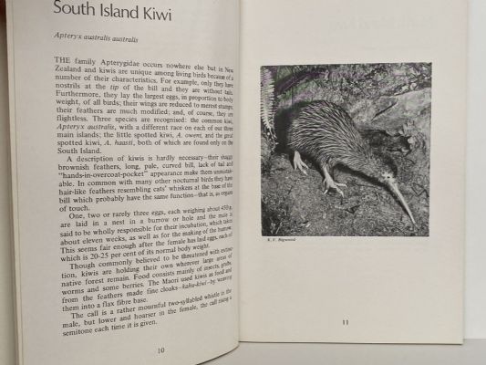 BIRDS AND BIRDSONGS of New Zealand