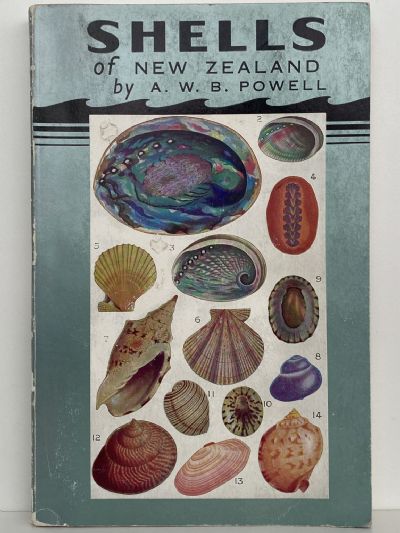 SHELLS OF NEW ZEALAND: An Illustrated Handbook