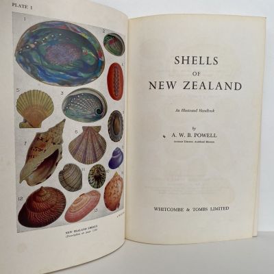 SHELLS OF NEW ZEALAND: An Illustrated Handbook