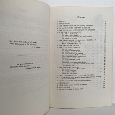 SHELLS OF NEW ZEALAND: An Illustrated Handbook