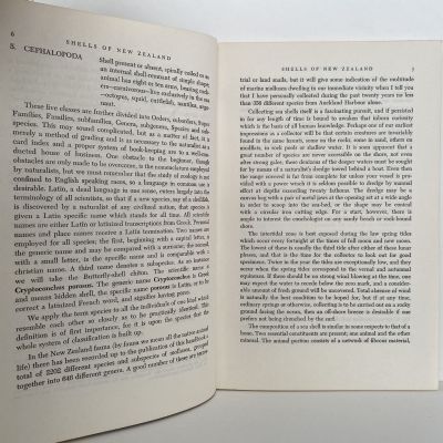 SHELLS OF NEW ZEALAND: An Illustrated Handbook