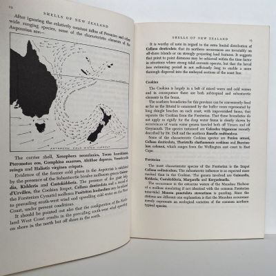 SHELLS OF NEW ZEALAND: An Illustrated Handbook