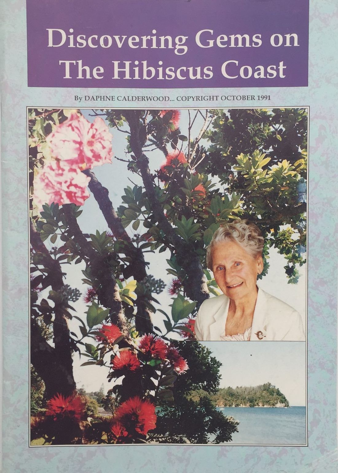 Discovering Gems on the Hibiscus Coast