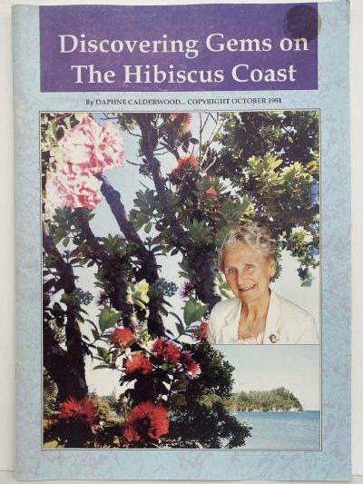 Discovering Gems on the Hibiscus Coast