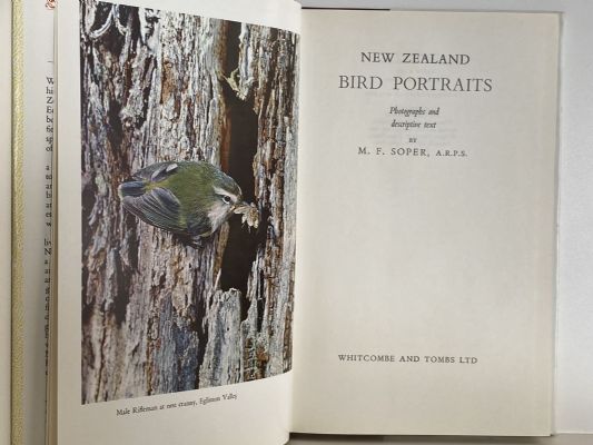 NEW ZEALAND BIRD PORTRAITS