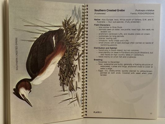 THE FIAT BOOK OF Uncommon Birds of New Zealand 3