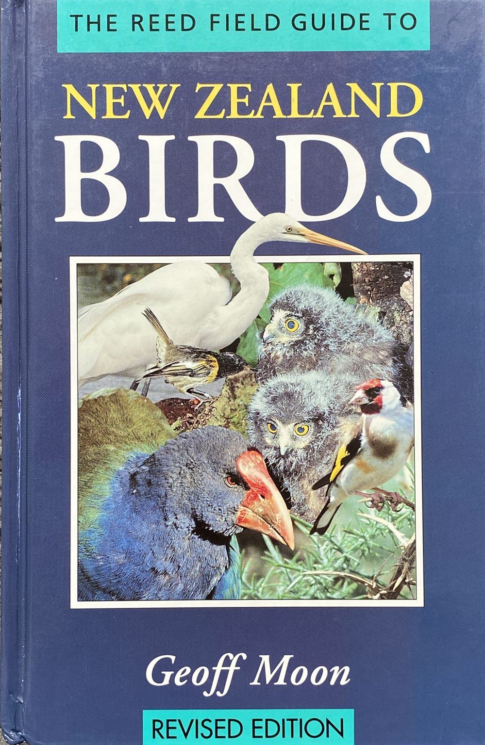 THE REED FIELD GUIDE TO NEW ZEALAND BIRDS