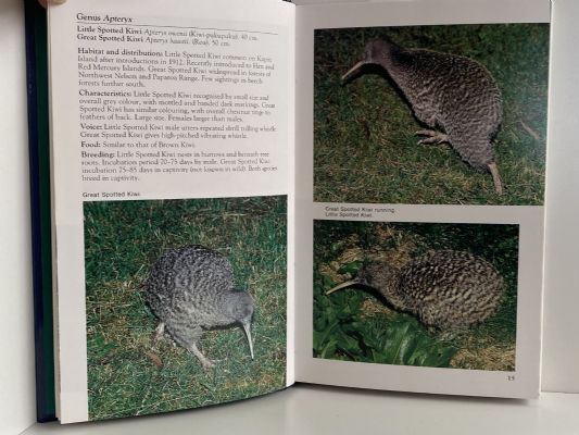 THE REED FIELD GUIDE TO NEW ZEALAND BIRDS