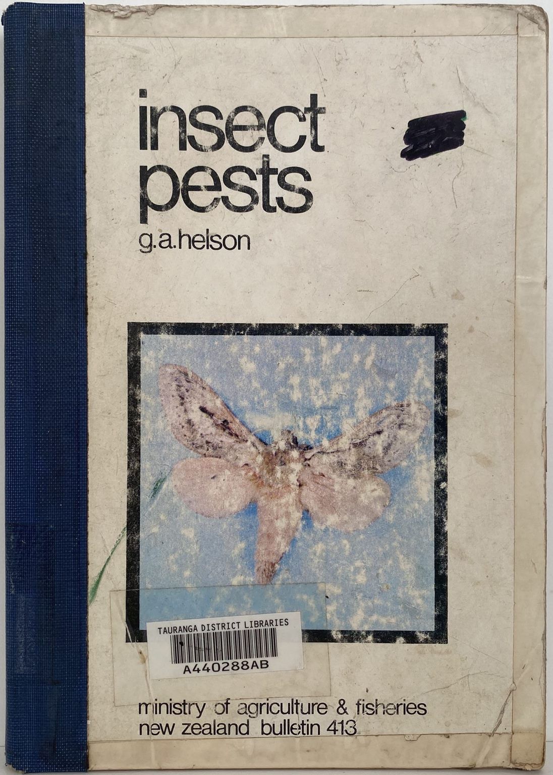INSECT PESTS