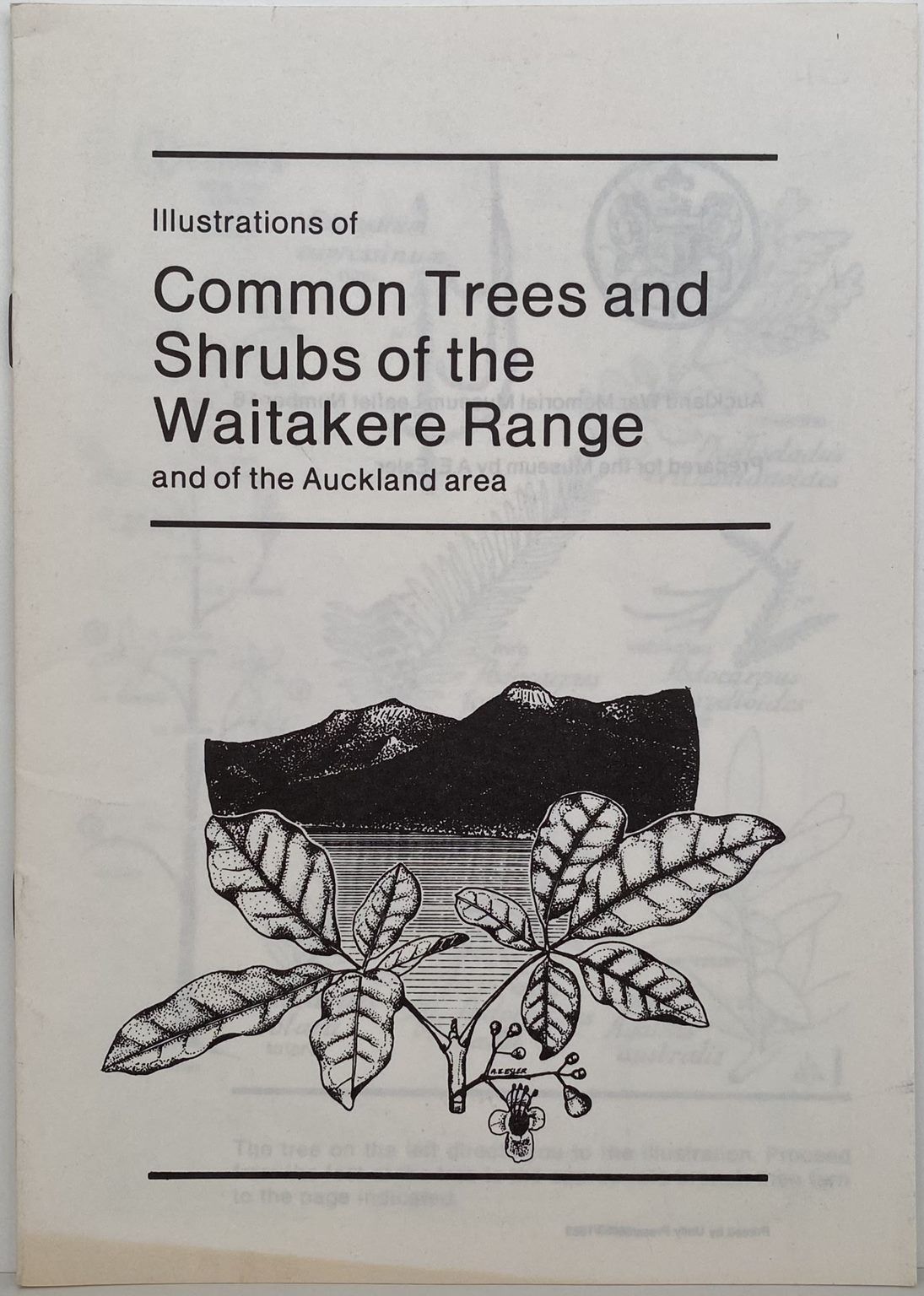 Illustrations of Common Trees and Shrubs of the Waitakere Range