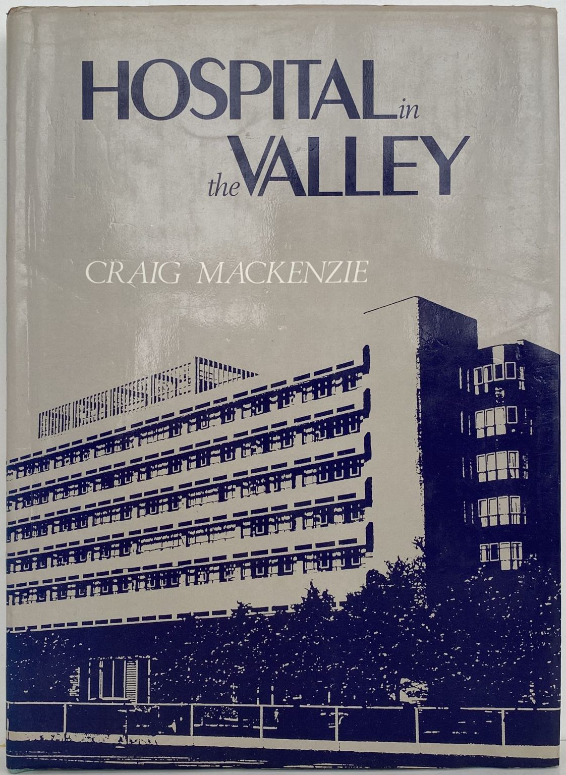 HOSPITAL IN THE VALLEY