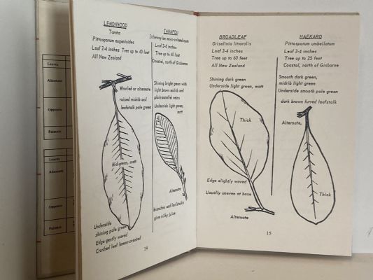 A GUIDE TO TREES