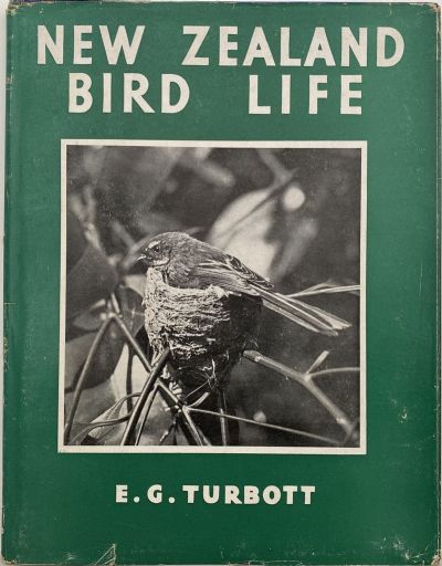 NEW ZEALAND BIRD LIFE 