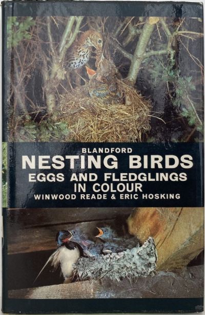 NESTING BIRDS, EGGS AND FLEDGLINGS in Colour 