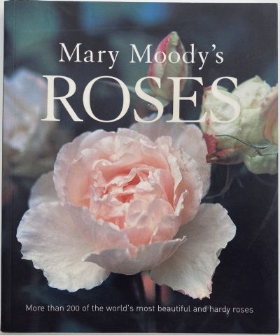 Mary Moody's Roses 