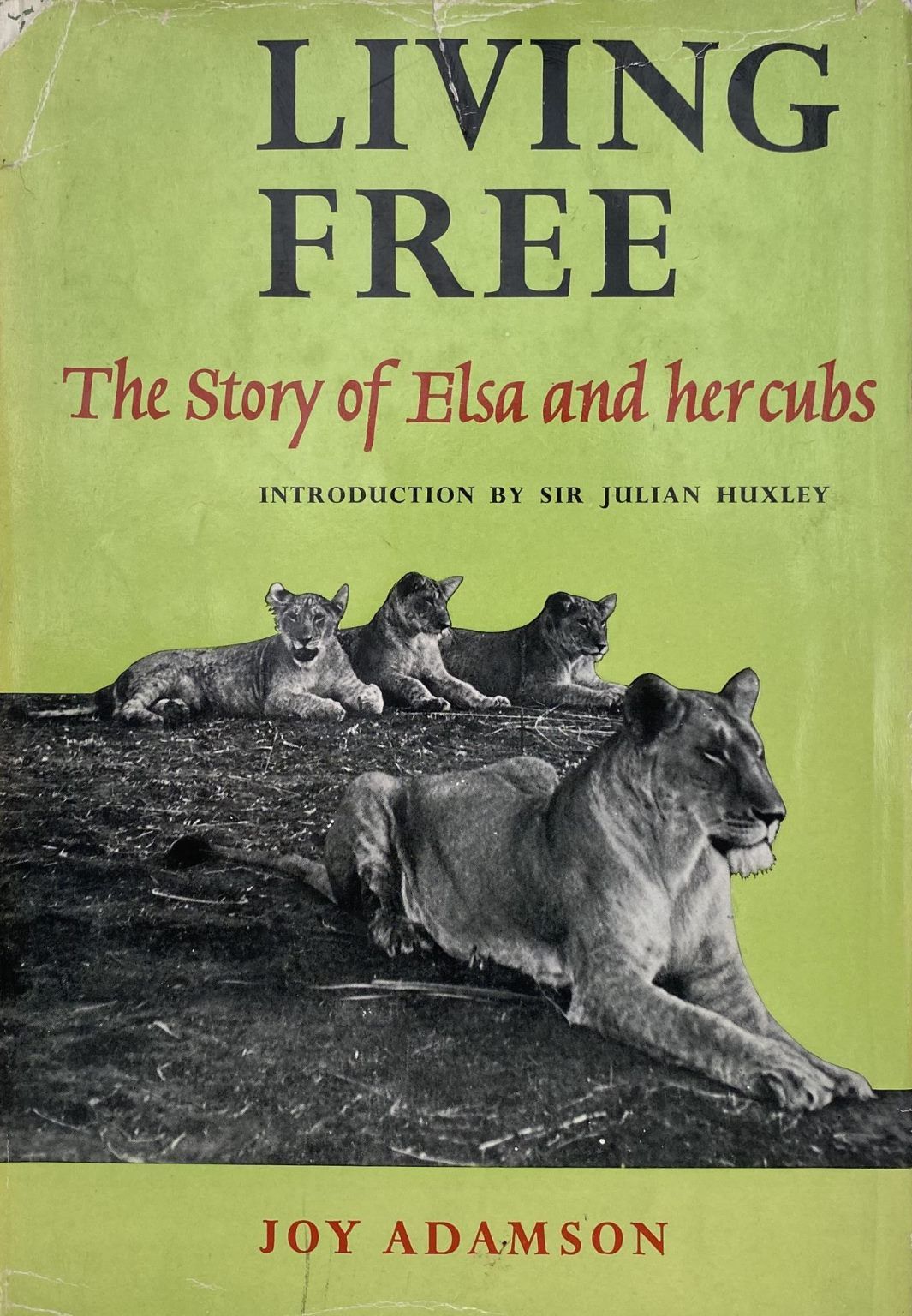 LIVING FREE: The Story of Elsa and her Cubs
