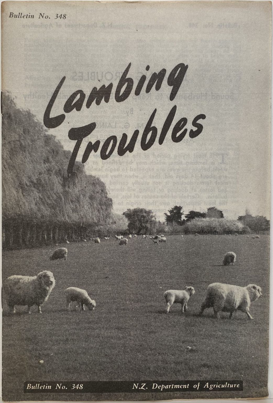 LAMBING TROUBLES: Sound Husbandry to Keep the Ewe and Lamb Healthy: Bulletin No. 348